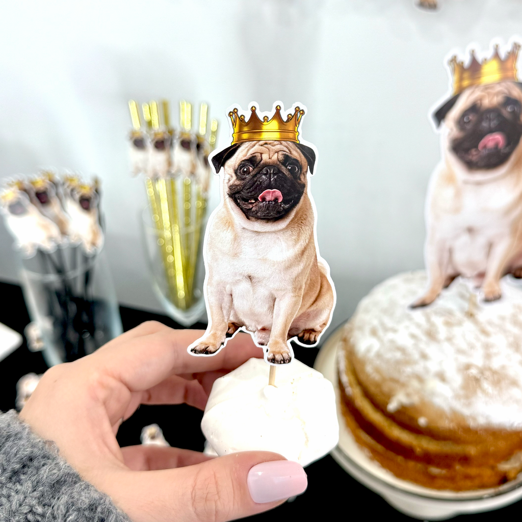 Evcil Hayvanlara Özel Parti Koleksiyonu